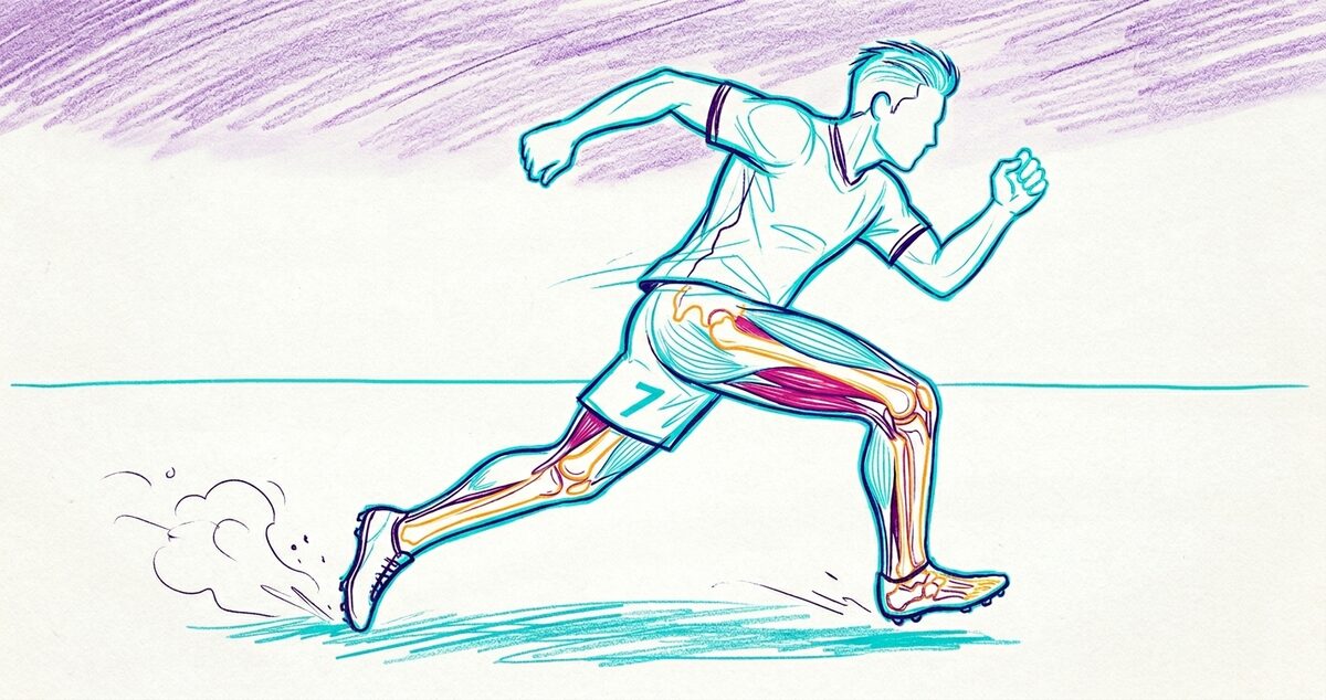 Illustration of a football player running with highlighted muscle groups