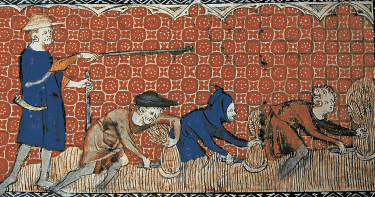 A pitch enclosed. The hawthorn stakes are not visible from the stands.